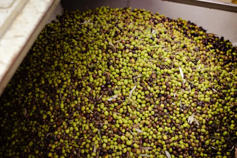 The Journey from Fresh Olives to Premium Olive Oil