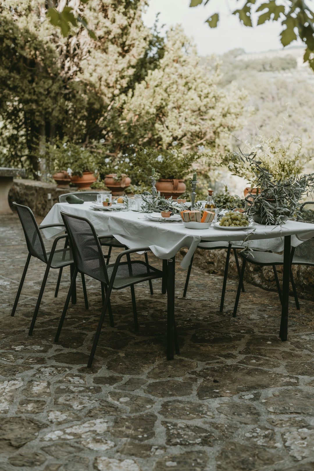 A backyard dinner party