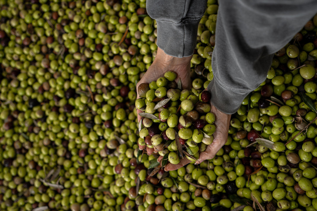 Cold Pressed Extra Virgin Olive Oil: Why It Matters