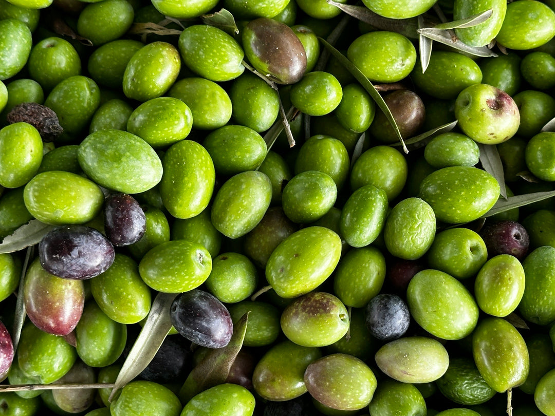 What Are Polyphenols — And Why Should You Care?
